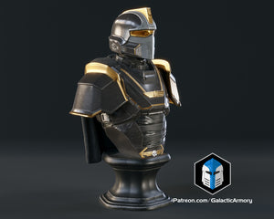 Helldivers 2 - Hero of the Federation Bust - 3D Print Files