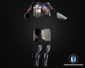 Helldivers 2 Helmet and Armor - Champion of the People - 3D Print Files