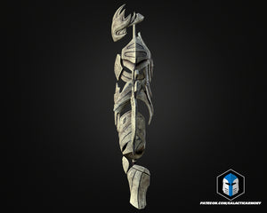 Raidriar Armor and Weapon Set - 3D Print Files