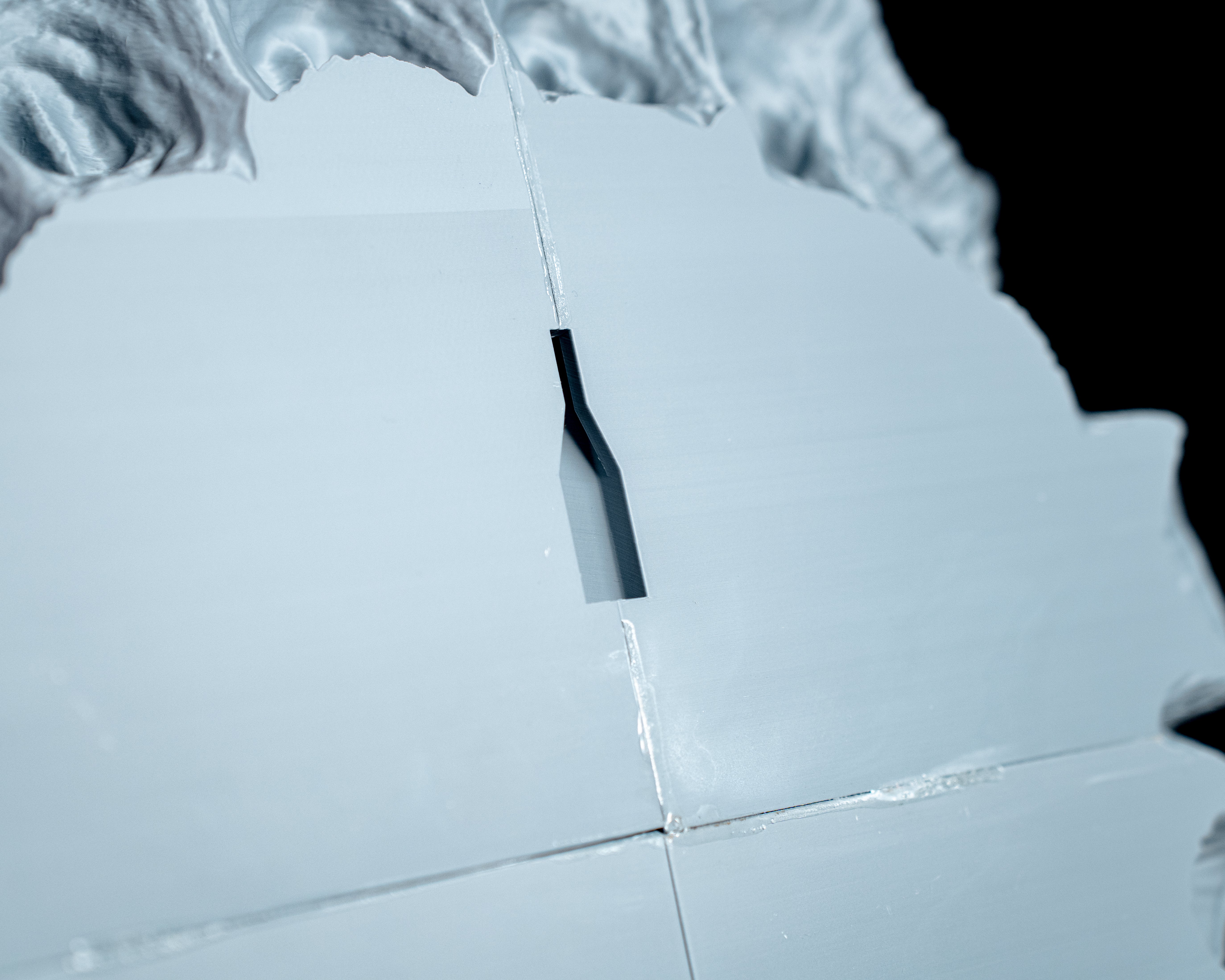 Predator Skull Wall Mount - DIY